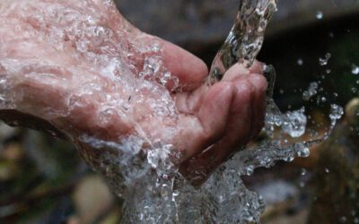 Is een waterontharder kopen zinvol?